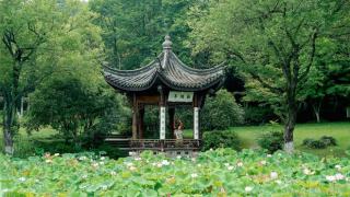 Tai chi qi gong : choisir son cours et son enseignant
