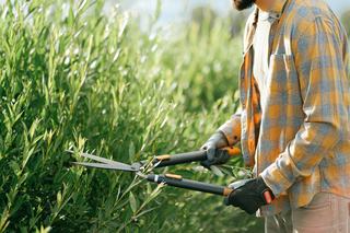 Tarif paysagiste, ce qui fait varier un devis de jardin